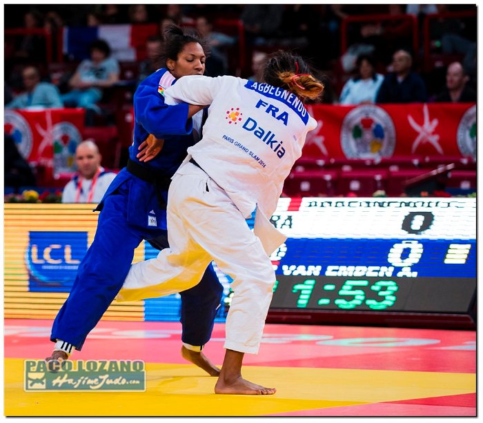 Paris 2014 by P.Lozano cat -63 kg (114)